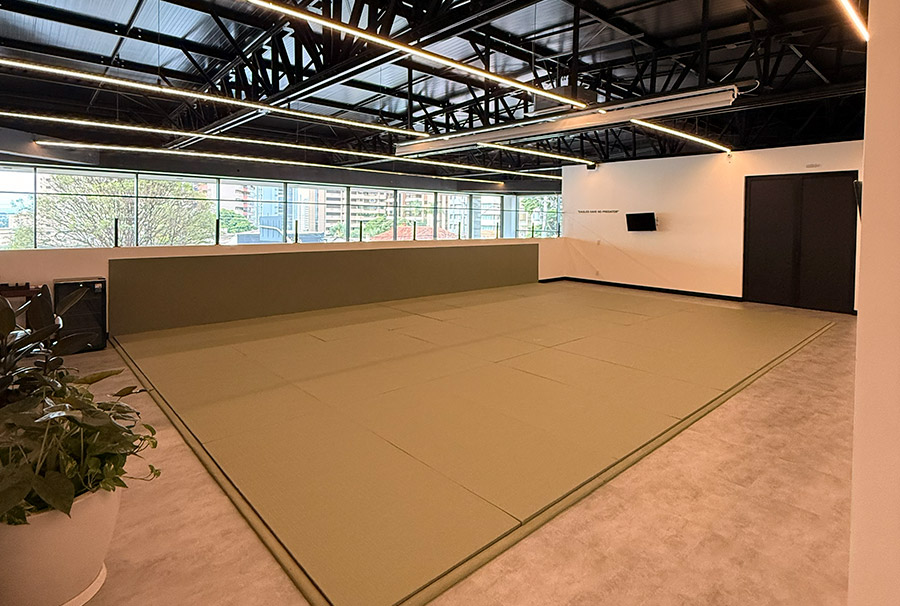 Alliance Jiu Jitsu Londrina